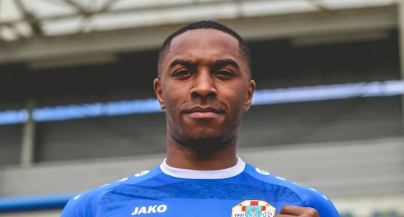 Fanimo33