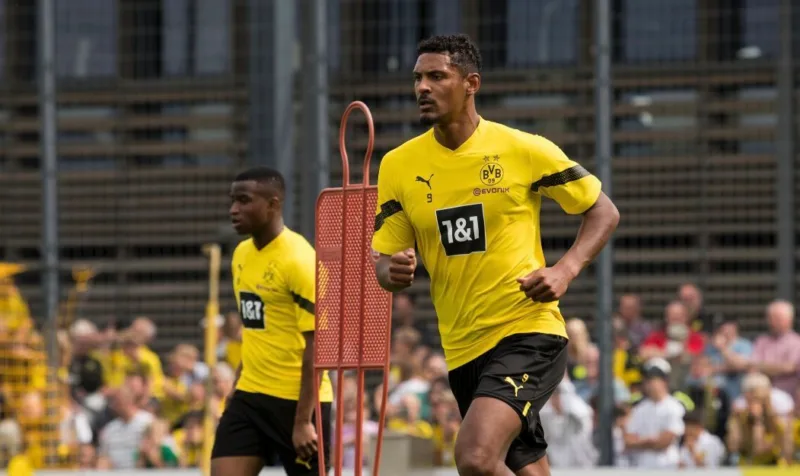 Haller 2