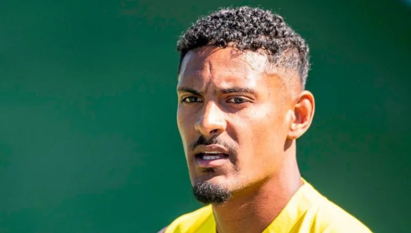 Haller 1 1