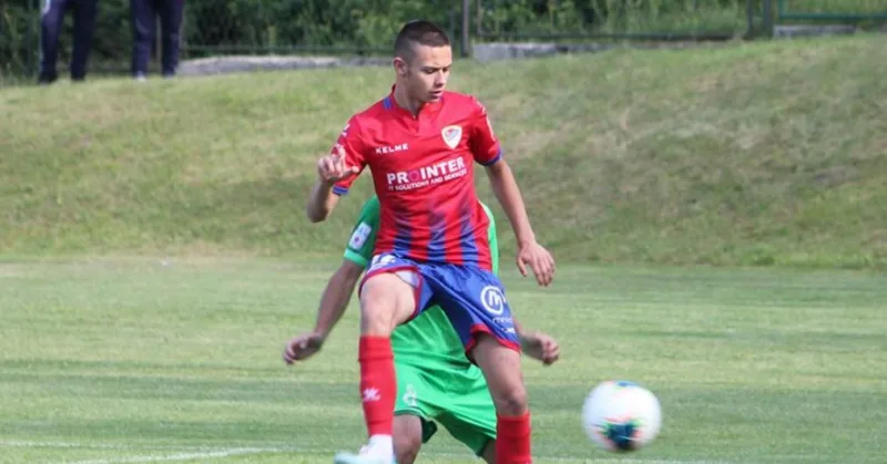 Cavic