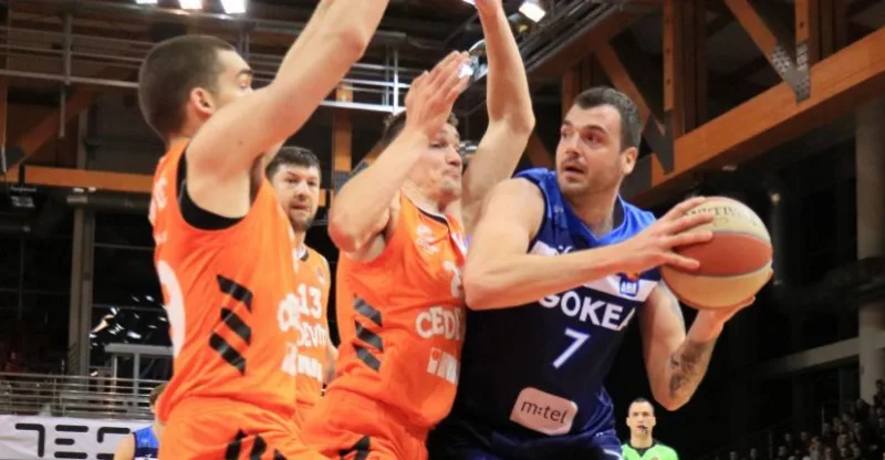 Sava lesic