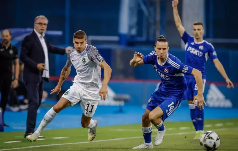 Dinamo ludp