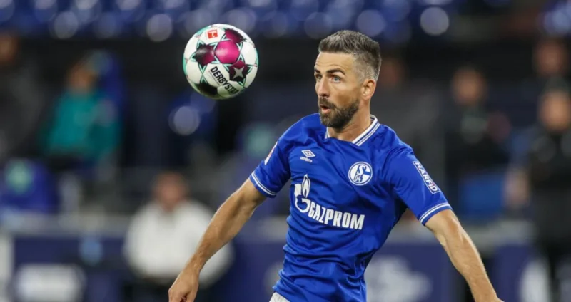 Ibisevic1