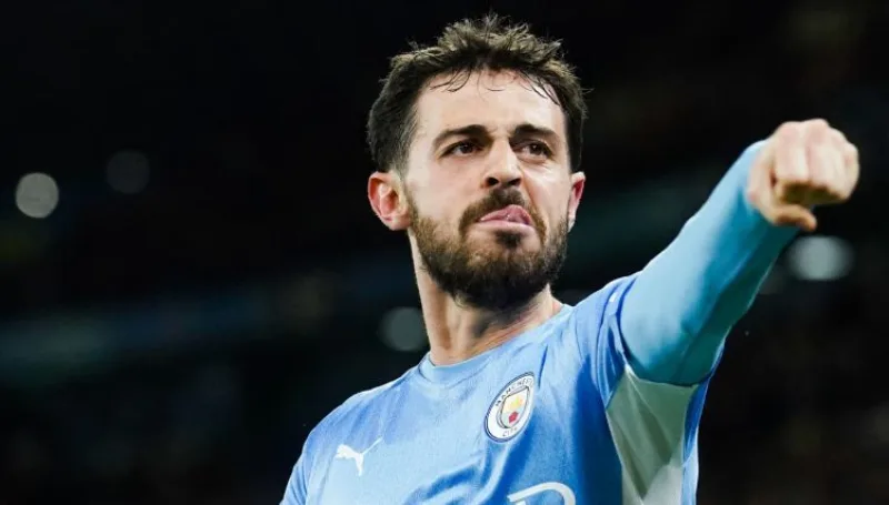 Silva 4