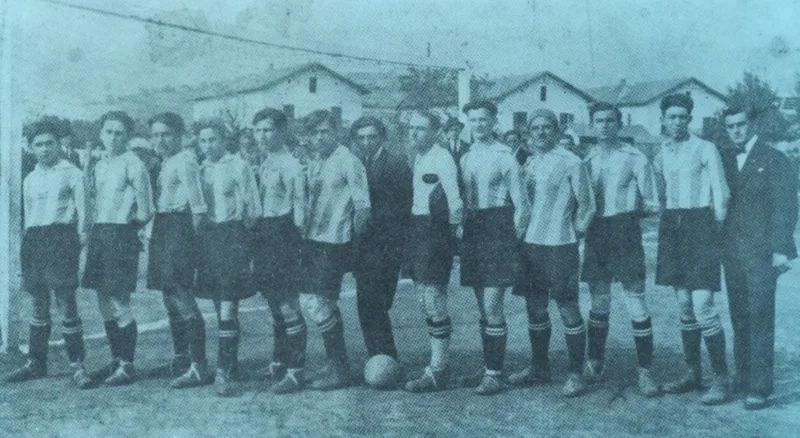 Zeljo11