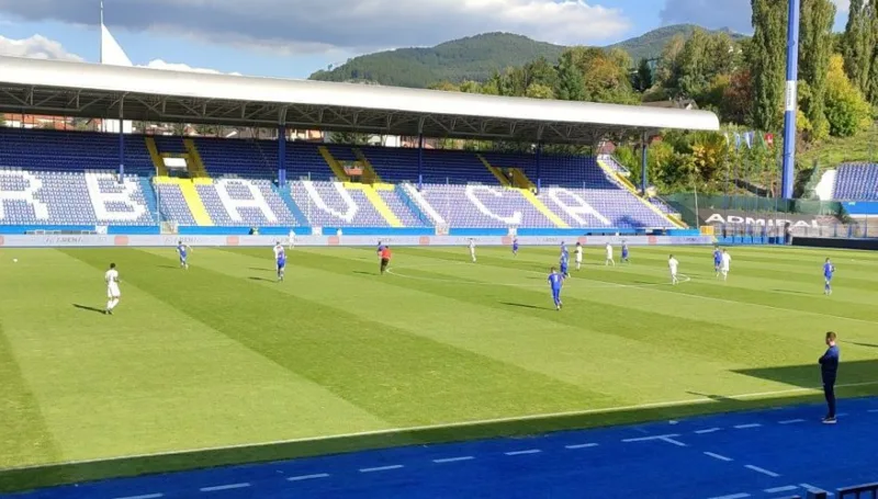 Zmajicigrbavica