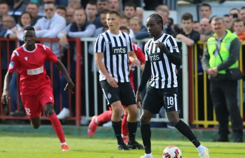 Partizanradicki