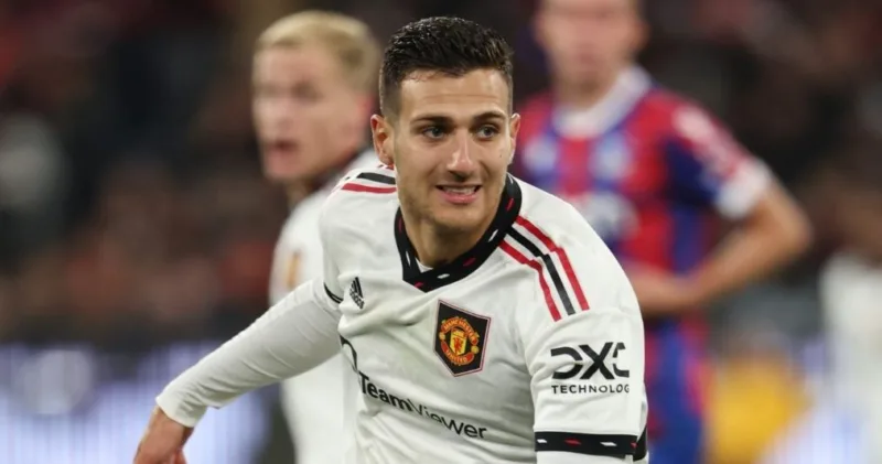 Dalot