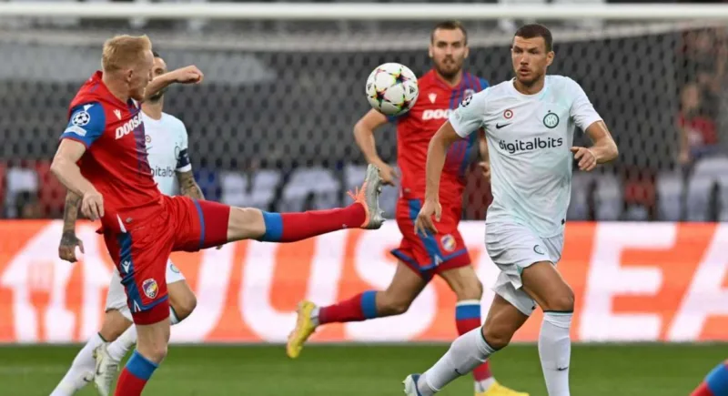 Dzeko viktor