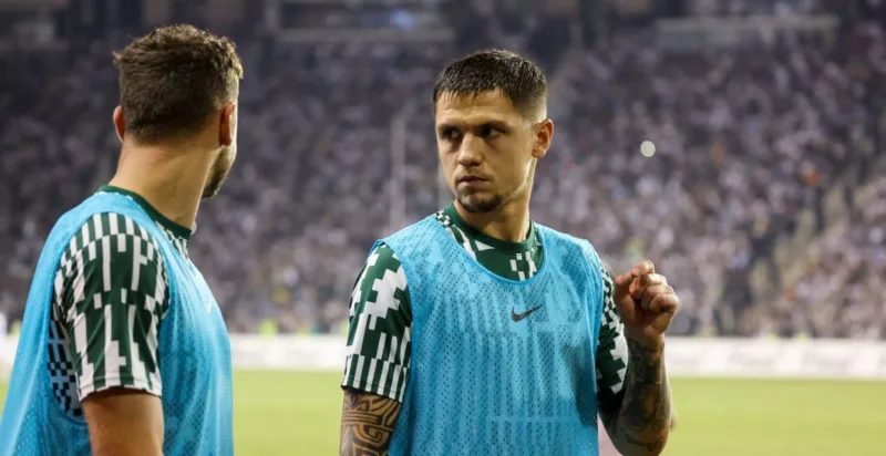 Besic