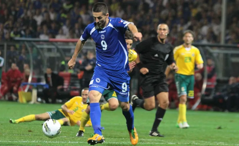 Ibisevic 1