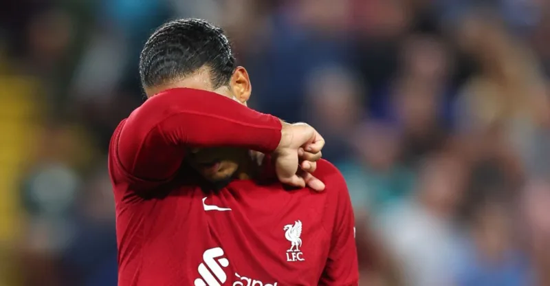 Van dijk3