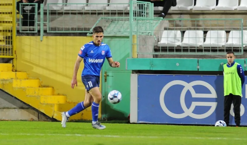 Bagaric44