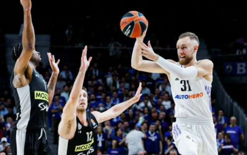 Musa partizan