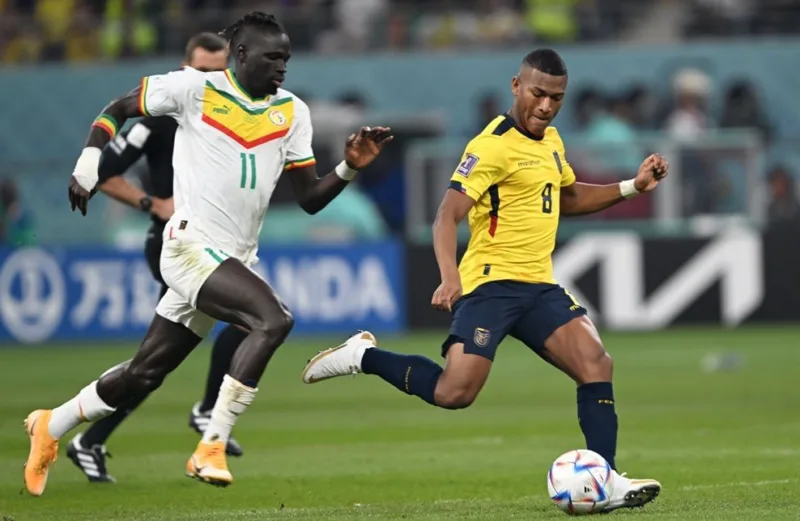 Ekvador senegal