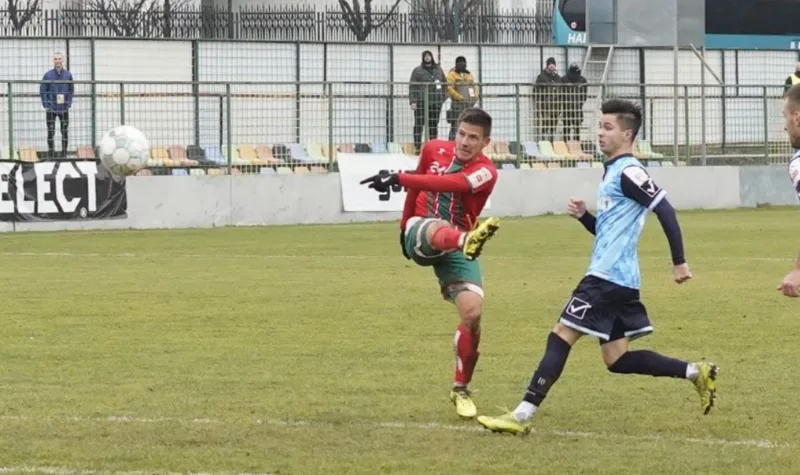 Handzic3