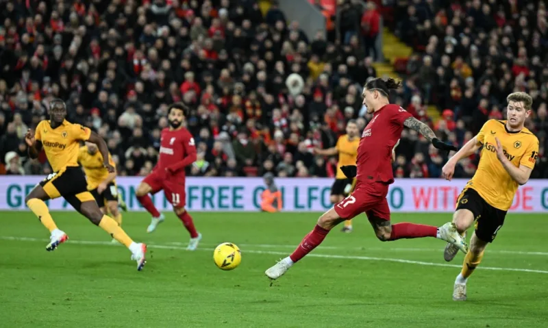 Liverpool wolves