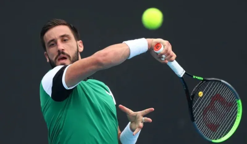 Dzumhur2