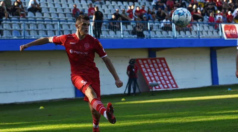 Dzean zajmovic