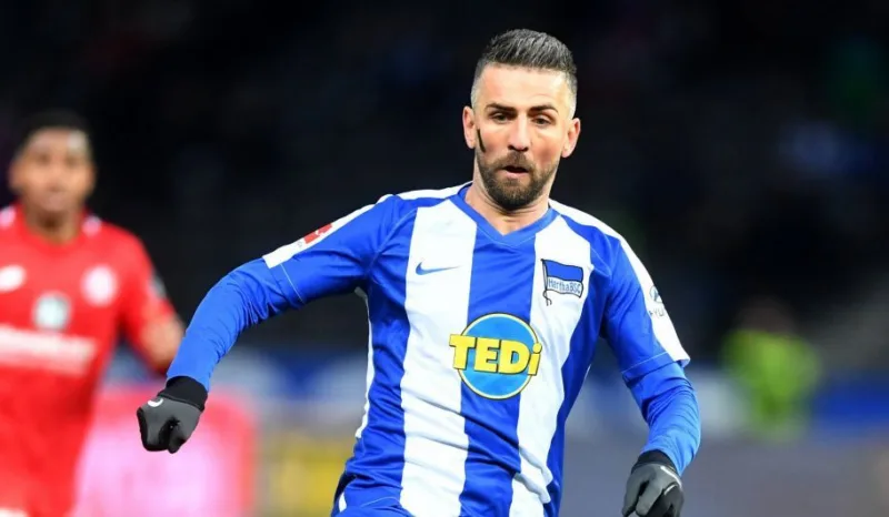 Vedad ibisevic