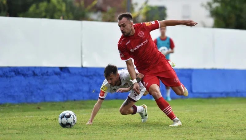 Zeljkovic1 1