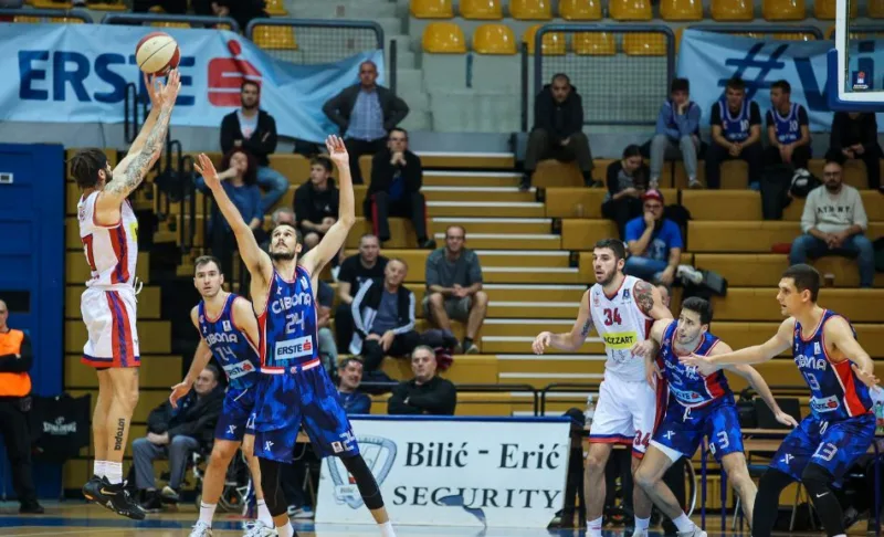 Borac cibona