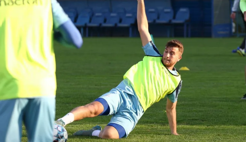Subasic