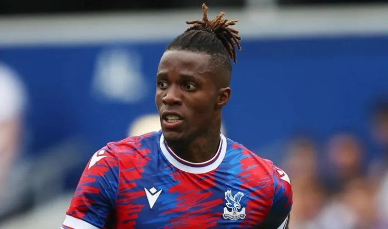 Zaha wilf