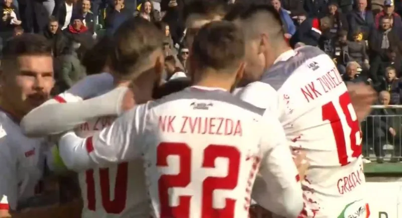 Zvizje