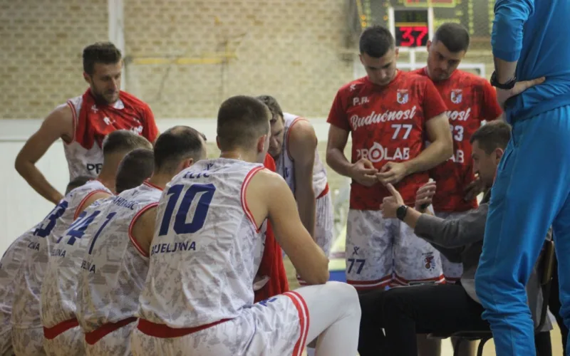 Buducnost pandza