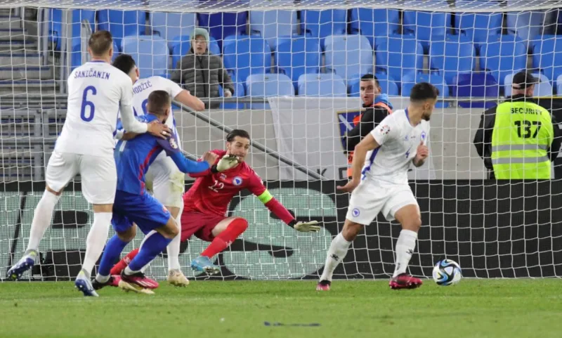 Seha gol