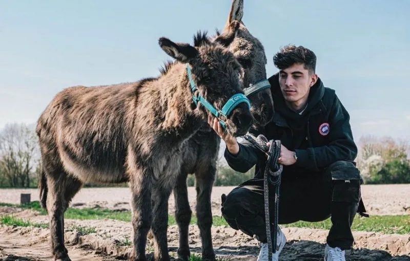 Havertz 1