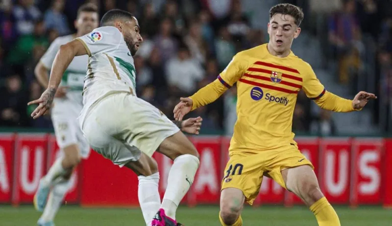 Gavi elche