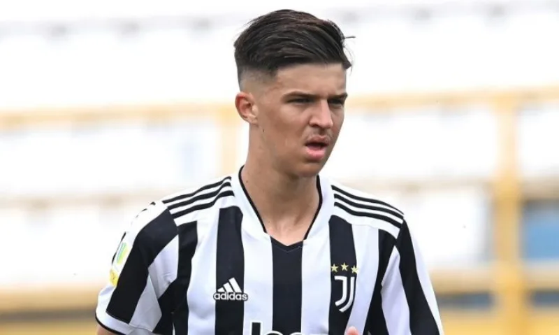 Tarik muharemovic