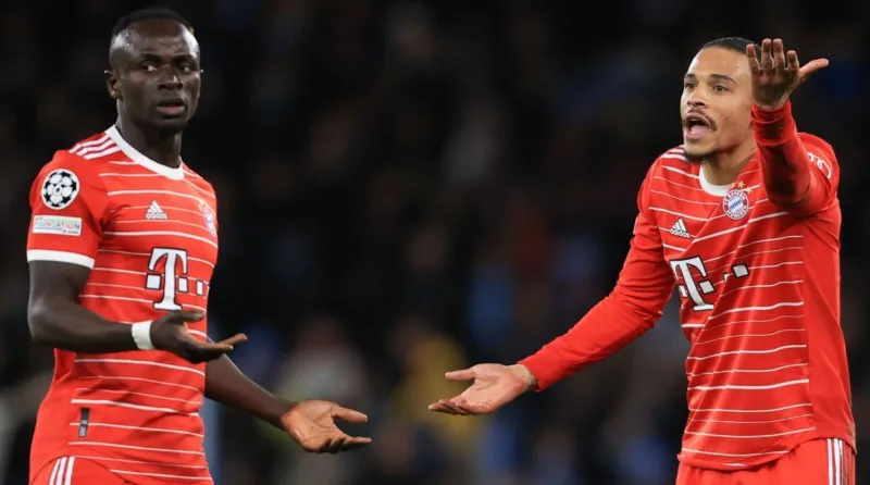 Mane and sane