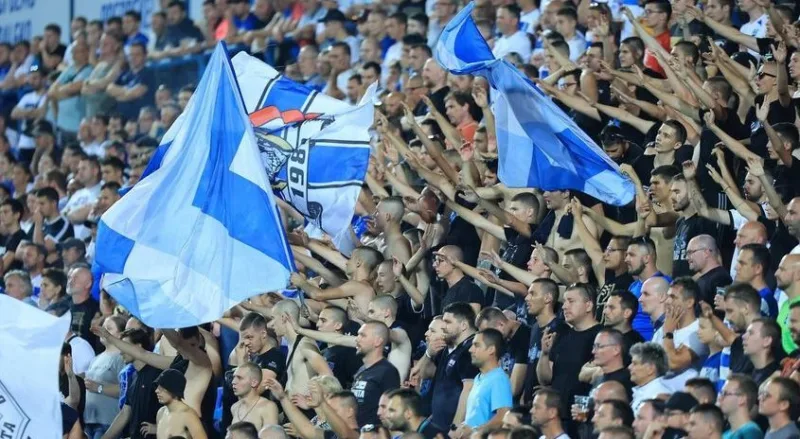 Osijek kohorta