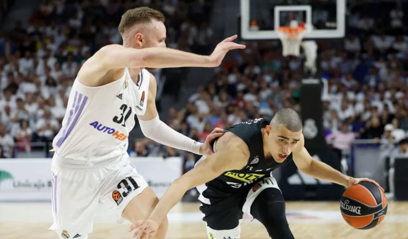 Dzanan musa partizan