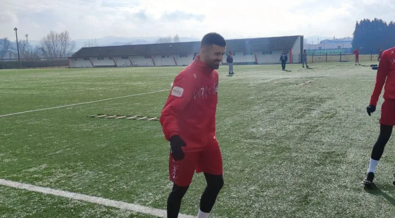 Nikola papora