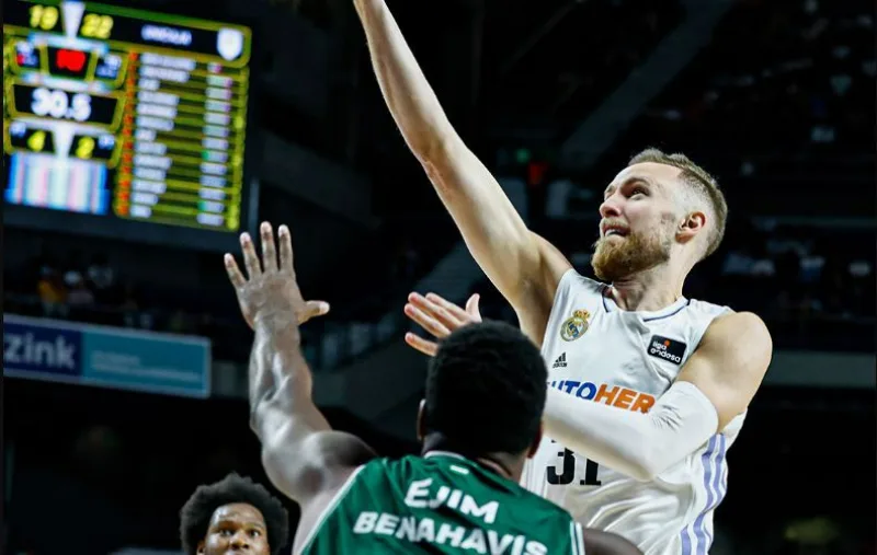 Musa unicaja