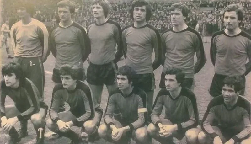 Celik birv