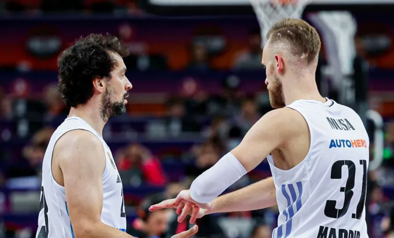 Llull musa