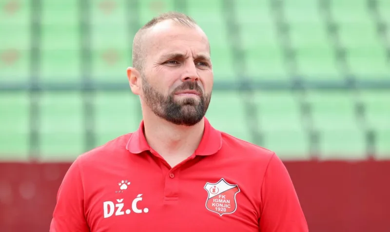 Dzenis cosic