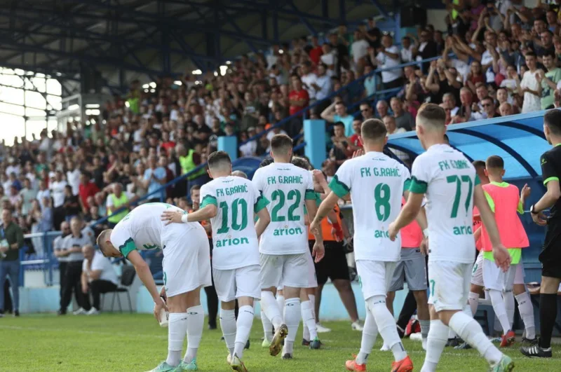 Gornji rahic