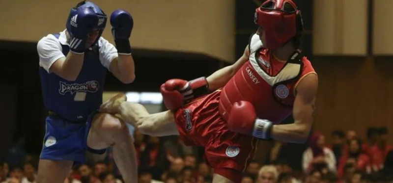 Wushu