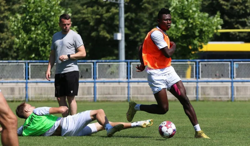 Zeljo trening