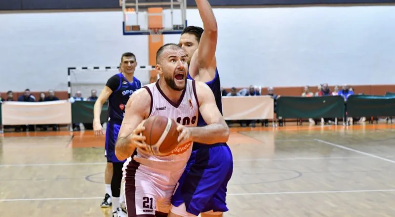 Bosna spars