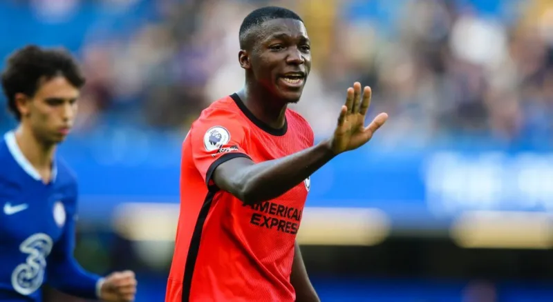 Caicedos