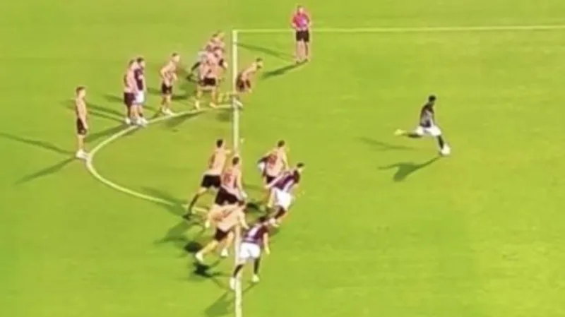 Penal sara