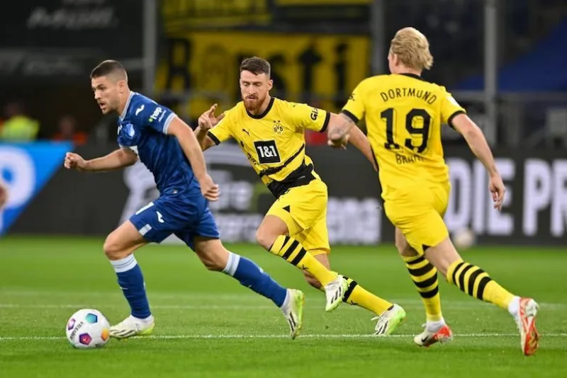 Hoffenheim borussia dortmund