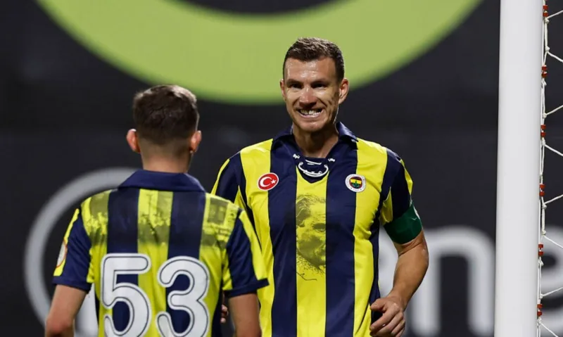 Fener amra
